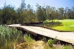 golf buggy boardwalk extended view pelican waters.jpg